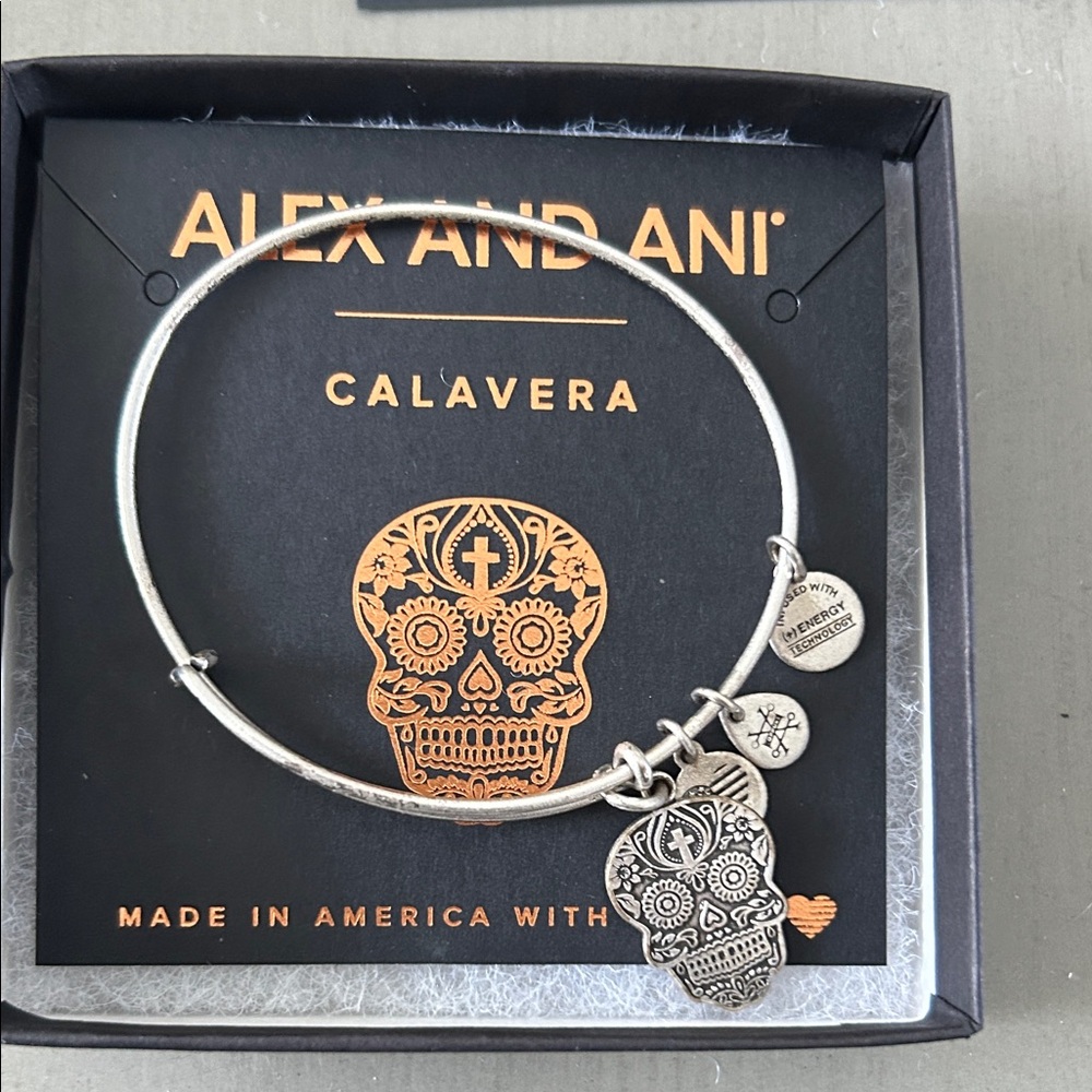 Alex and Ani Silver Skull Charm Bracelet